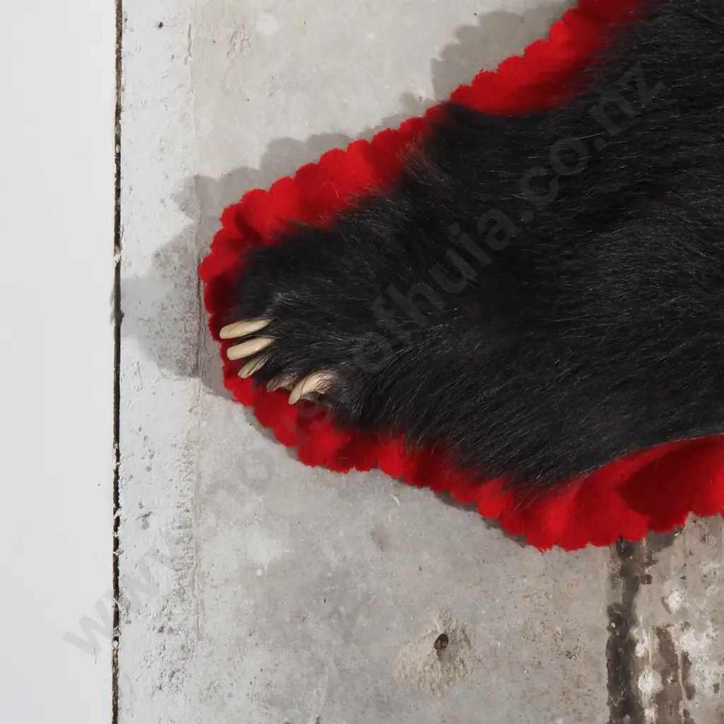 Indian Sloth Bear Rug Image 1++