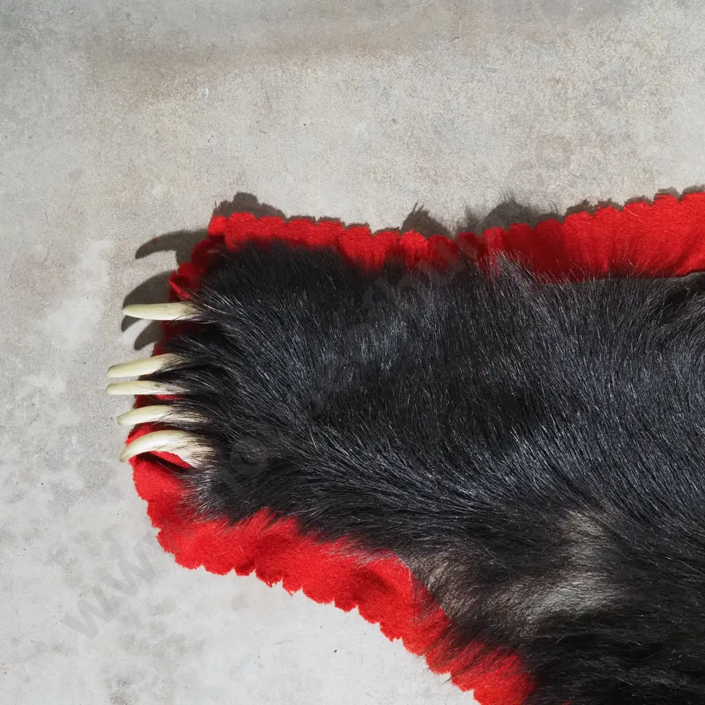 Indian Sloth Bear Rug Image 1++