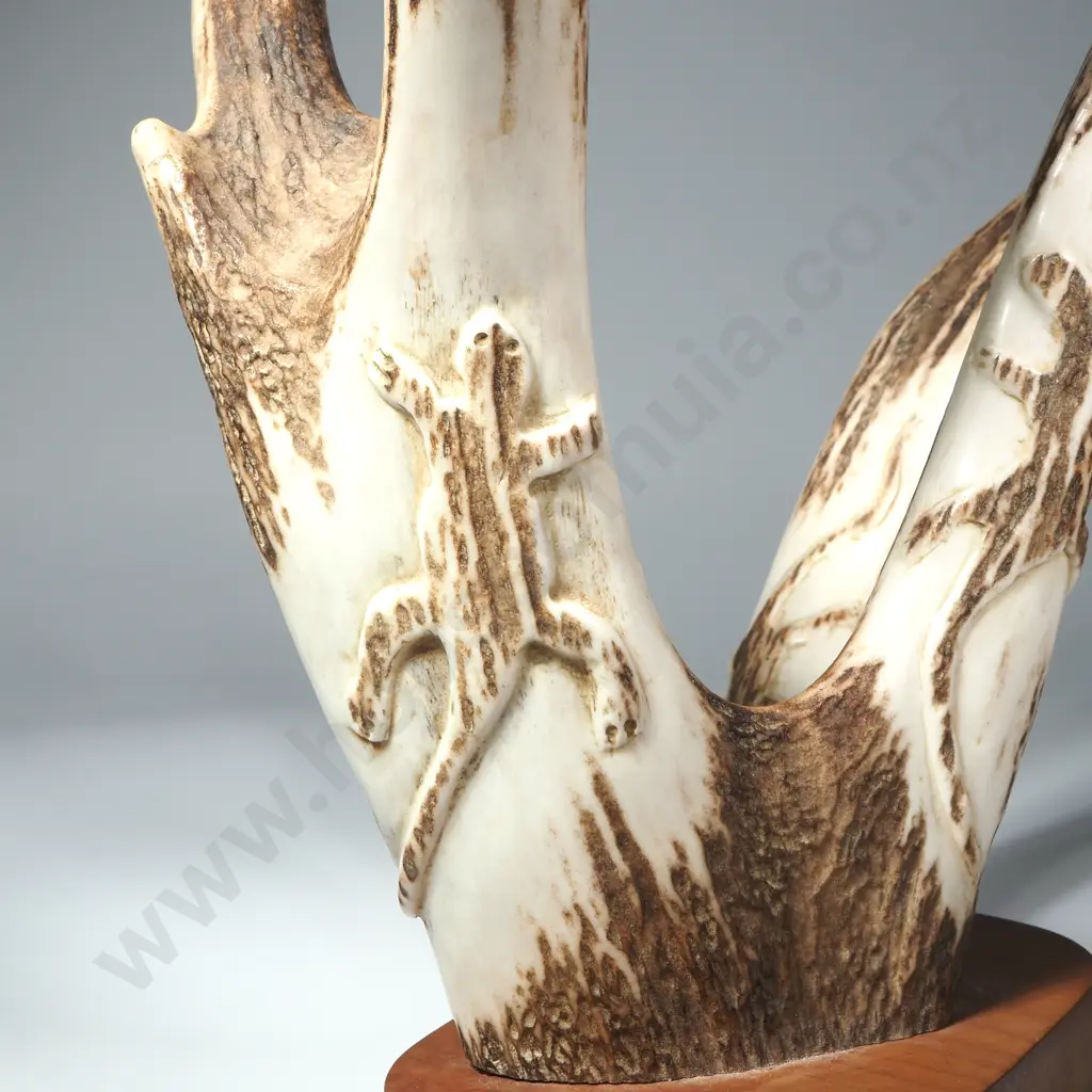 Mounted Antler w Carved Primitive Lizard Motifs Image 1++