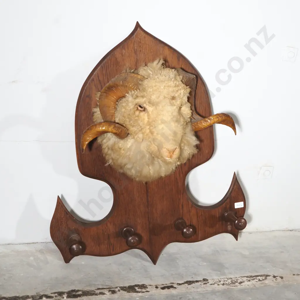 Rams Head on Shield w Coat Hooks Image 1++