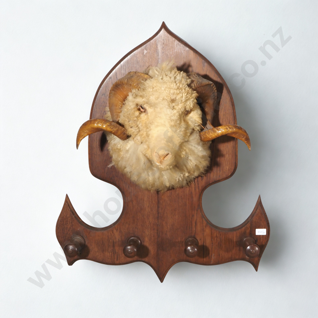 Rams Head on Shield w Coat Hooks Image 1++