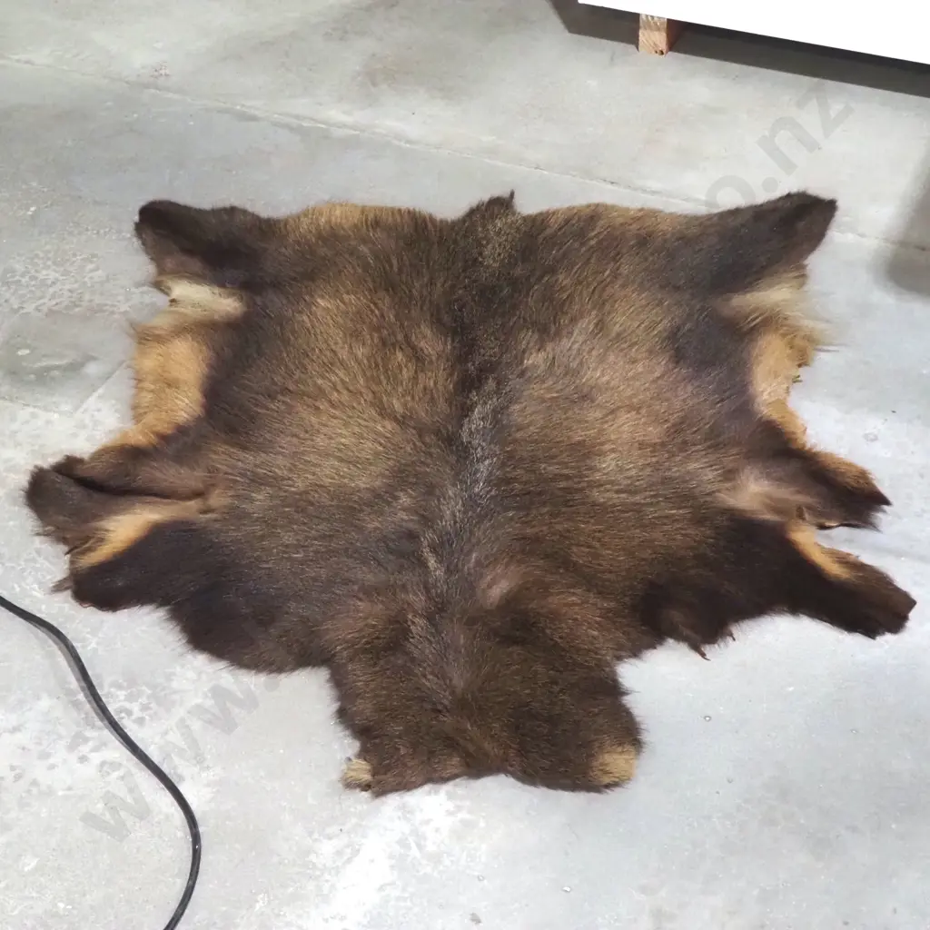Tanned Tahr Skin Image 1++