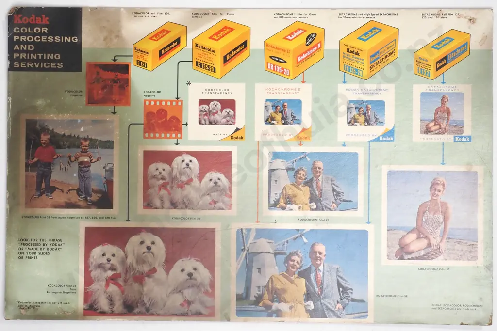 Kodak Color Processing Services Image 1++