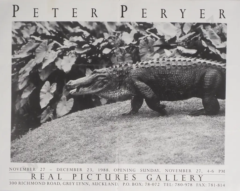 Vintage Event Poster 'Peter Peryer Real Pictures Gallery' Image 1++