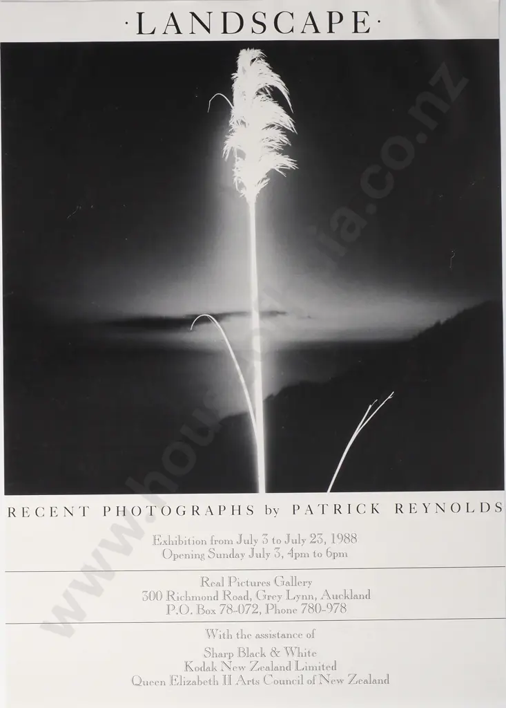 Vintage Event Poster 'Recent Photographs by Patrick Reynolds' Image 1++