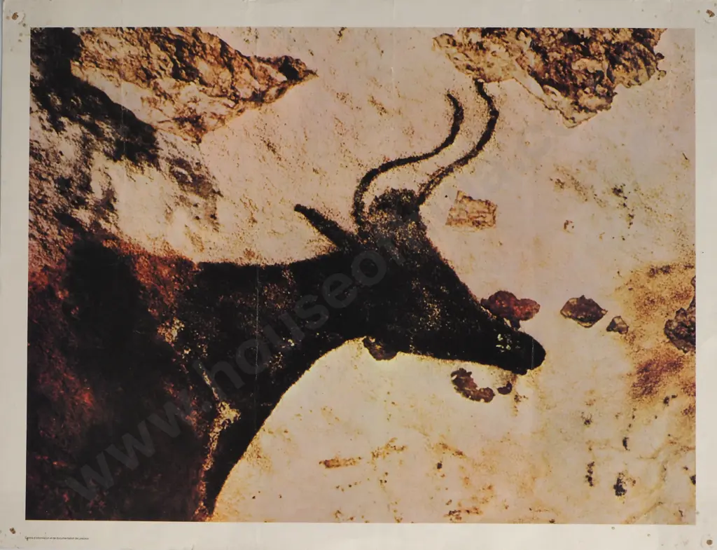 Black Bull/Auroch, Cave Drawing, Centre d'information et documentation de Lascaux Image 1++