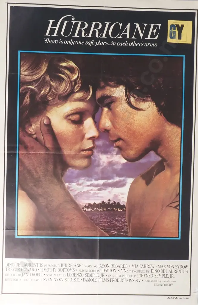 Vintage Movie Poster for 'Hurricane' Image 1++