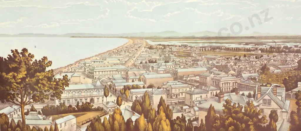Panoramic View of Napier City, 19th Century Chromolithograph by A D Willis Image 1++