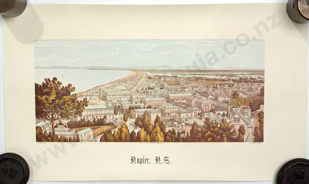 Panoramic View of Napier City, 19th Century Chromolithograph by A D Willis Image 1++