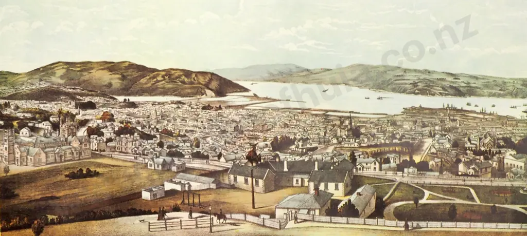 Panoramic View of Dunedin, 19th Century Chromolithograph by A D Willis Image 1++