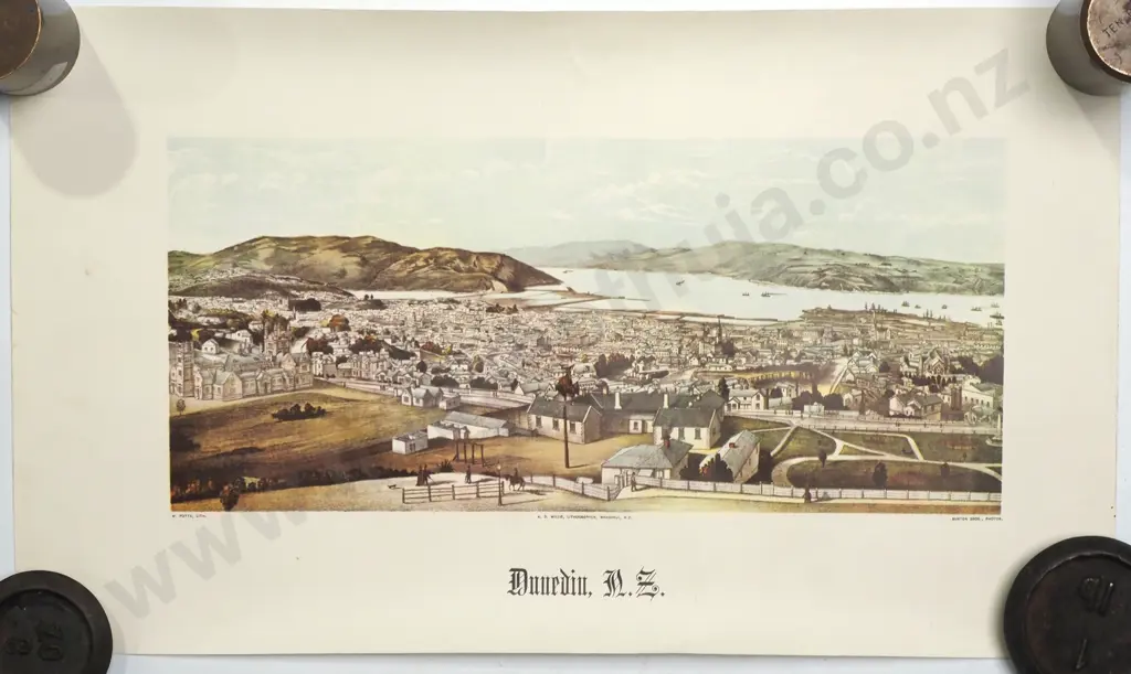 Panoramic View of Dunedin, 19th Century Chromolithograph by A D Willis Image 1++