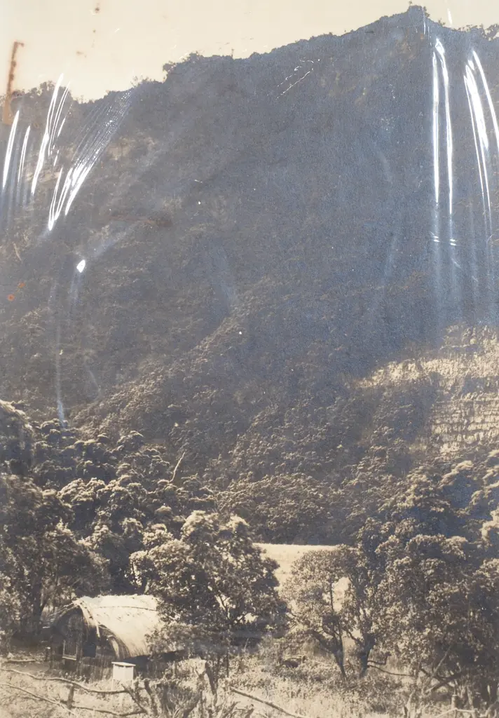 Photo Depicting an Early Settler Bush Hut or Whare Image 1++