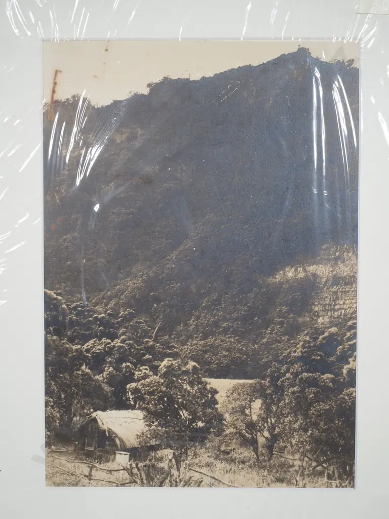 Photo Depicting an Early Settler Bush Hut or Whare Image 1++