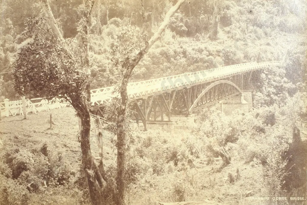 E. Wheeler & Son Photo - 'Manawatu Gorge Bridge' Image 1++