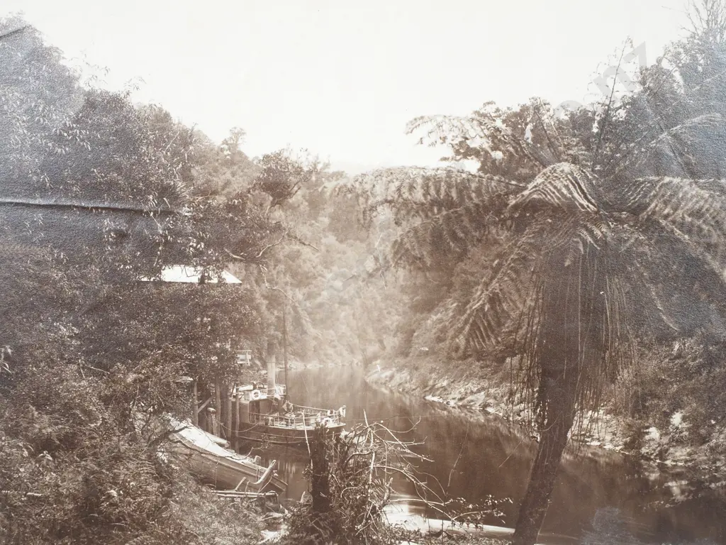 Photograph of the Boats on the Mokau River - c.1900 Image 1++