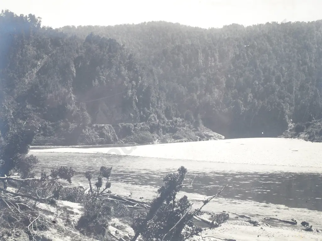 Photograph of the Buller Gorge Image 1++