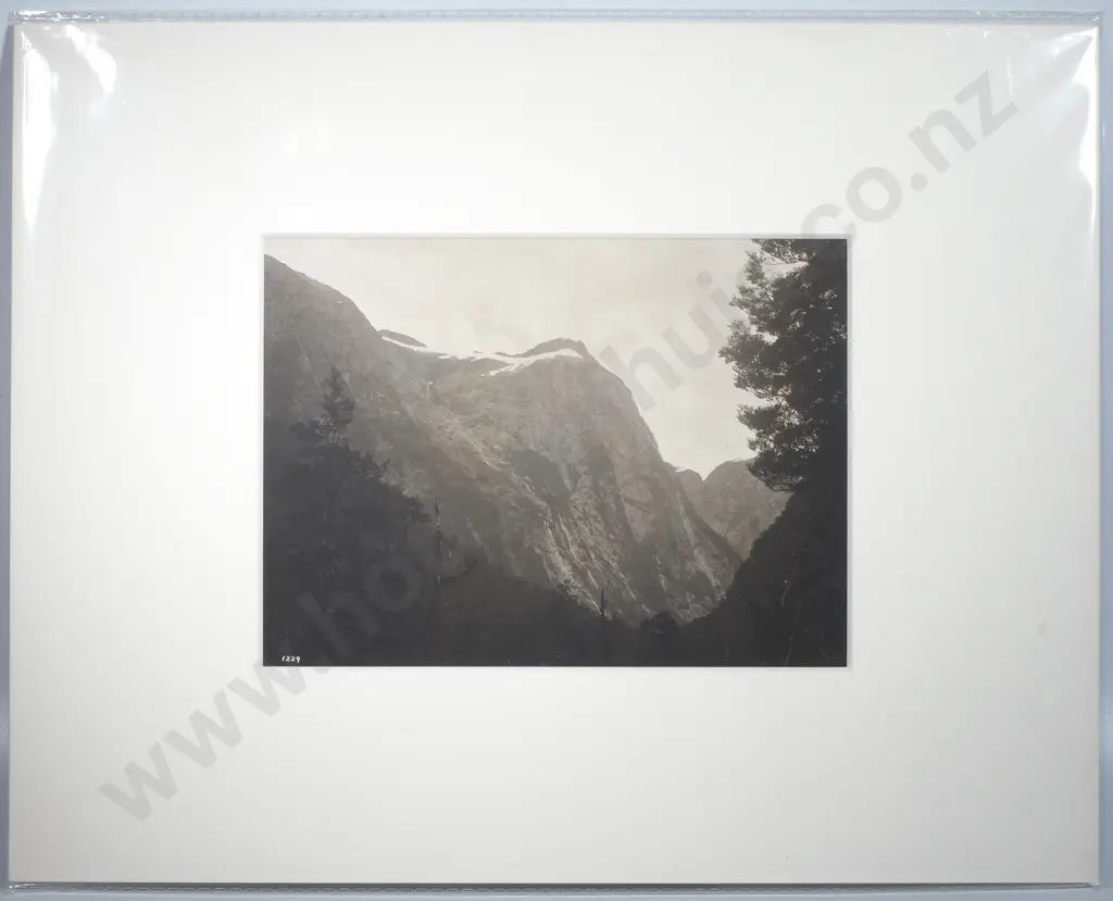 Photograph of the Milford Track Image 1++