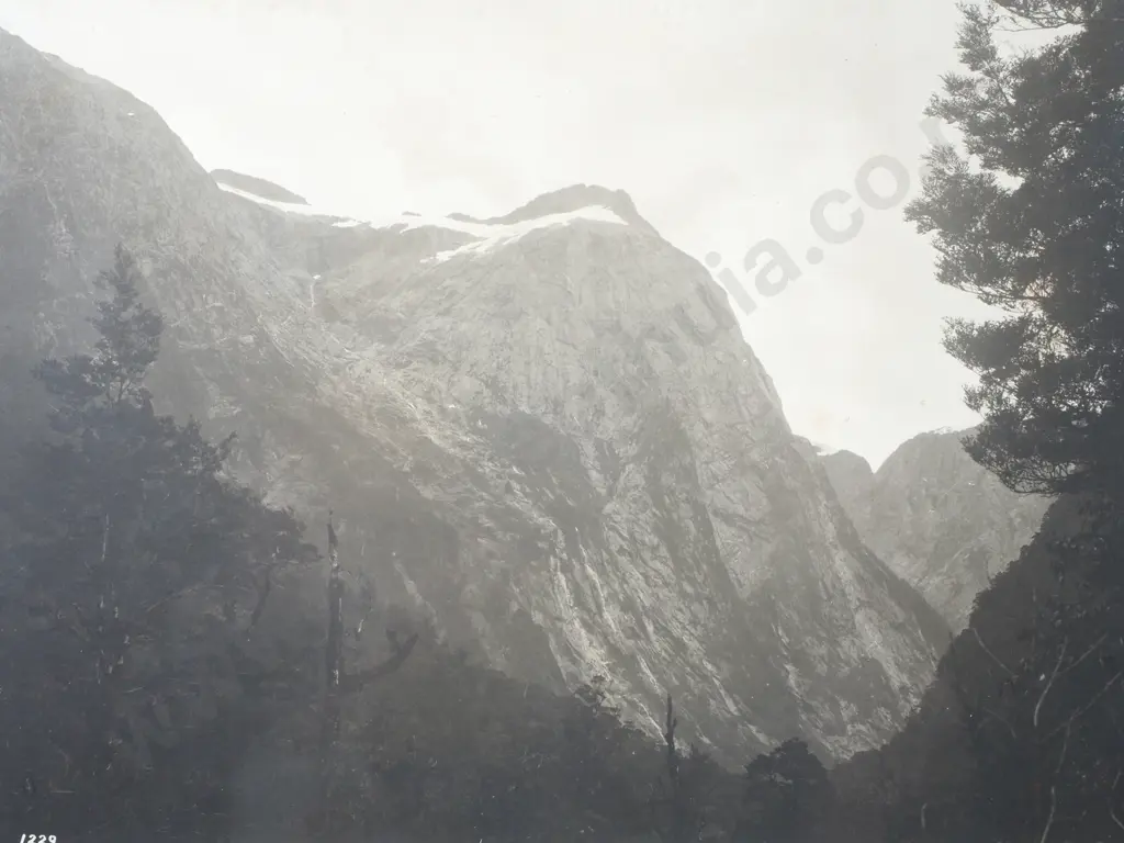 Photograph of the Milford Track Image 1++