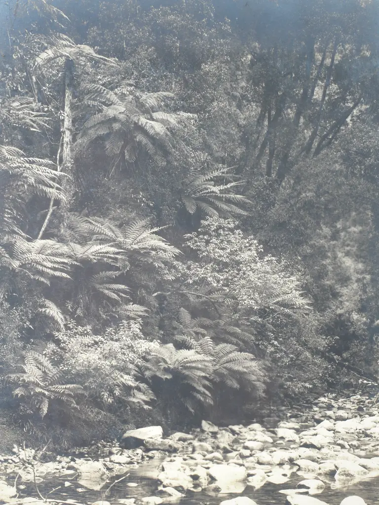 Photograph of Dorothy Creek, Lake Kanieri c.1900 Image 1++