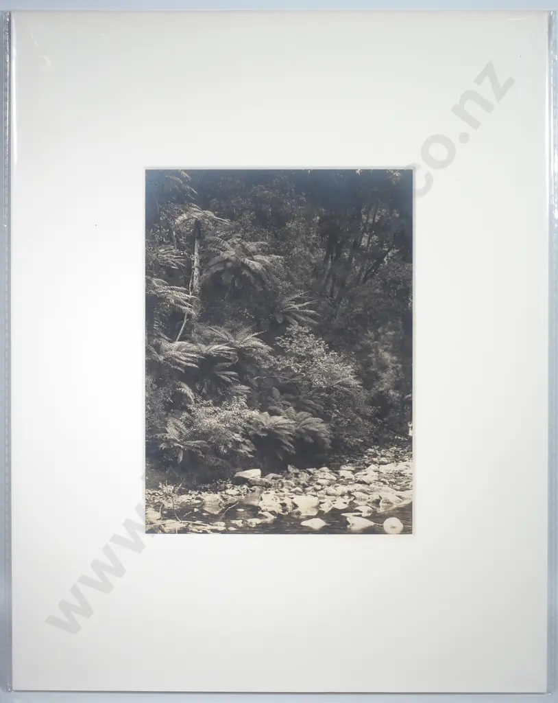 Photograph of Dorothy Creek, Lake Kanieri c.1900 Image 1++