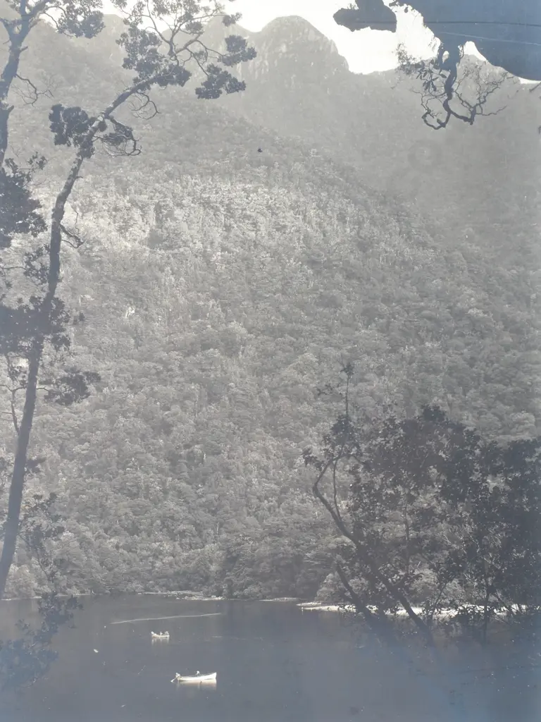 Wet Jacket Arm, Dusky Sound - Photograph, c.1900 Image 1++