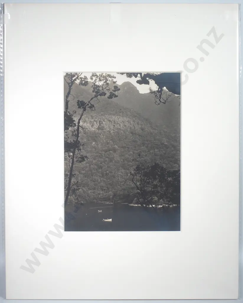 Wet Jacket Arm, Dusky Sound - Photograph, c.1900 Image 1++