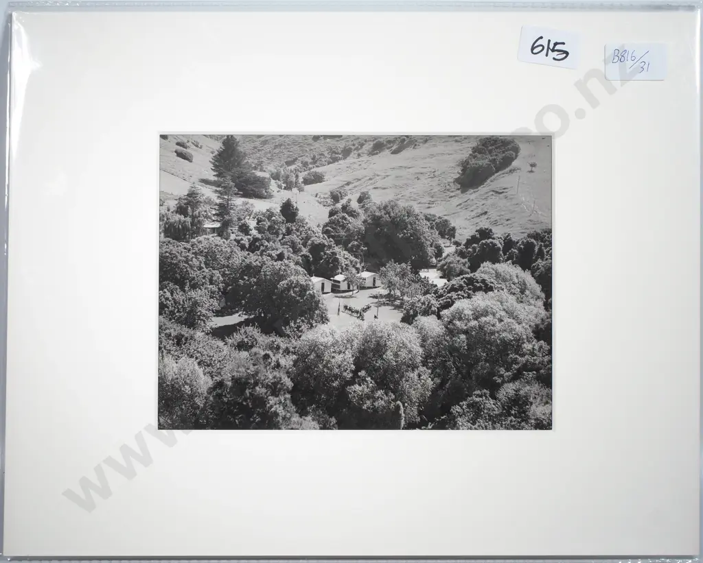 Victor Carlyle Browne - The Wainui Health Camp, Photograph Image 1++