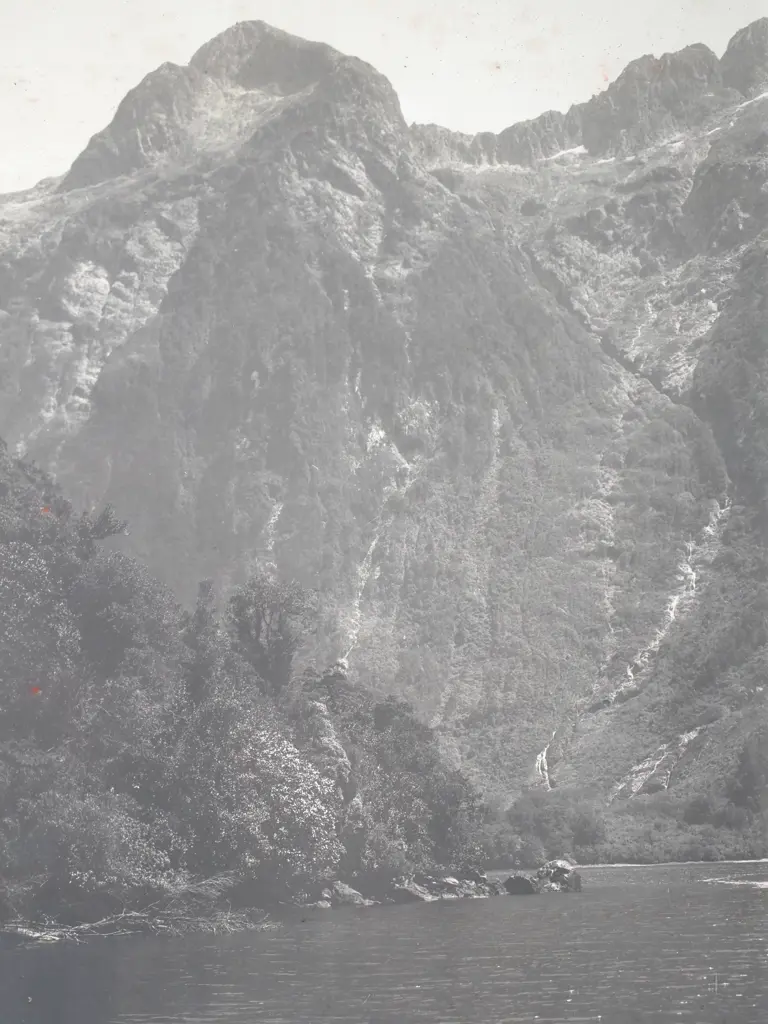 Photograph of the Head of Hall's Arm, Doubtful Sound, c.1900 Image 1++