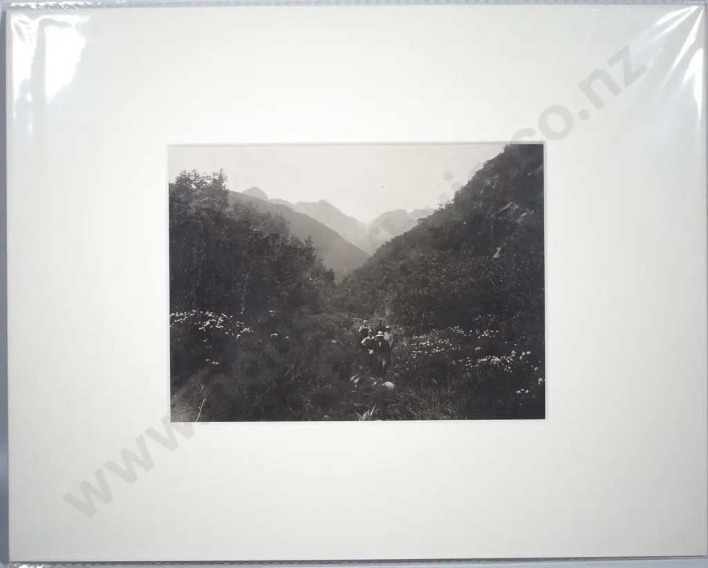 Photograph of a Group Walking Through the Wilmot Pass, Lake Manapouri, c.1900 Image 1++