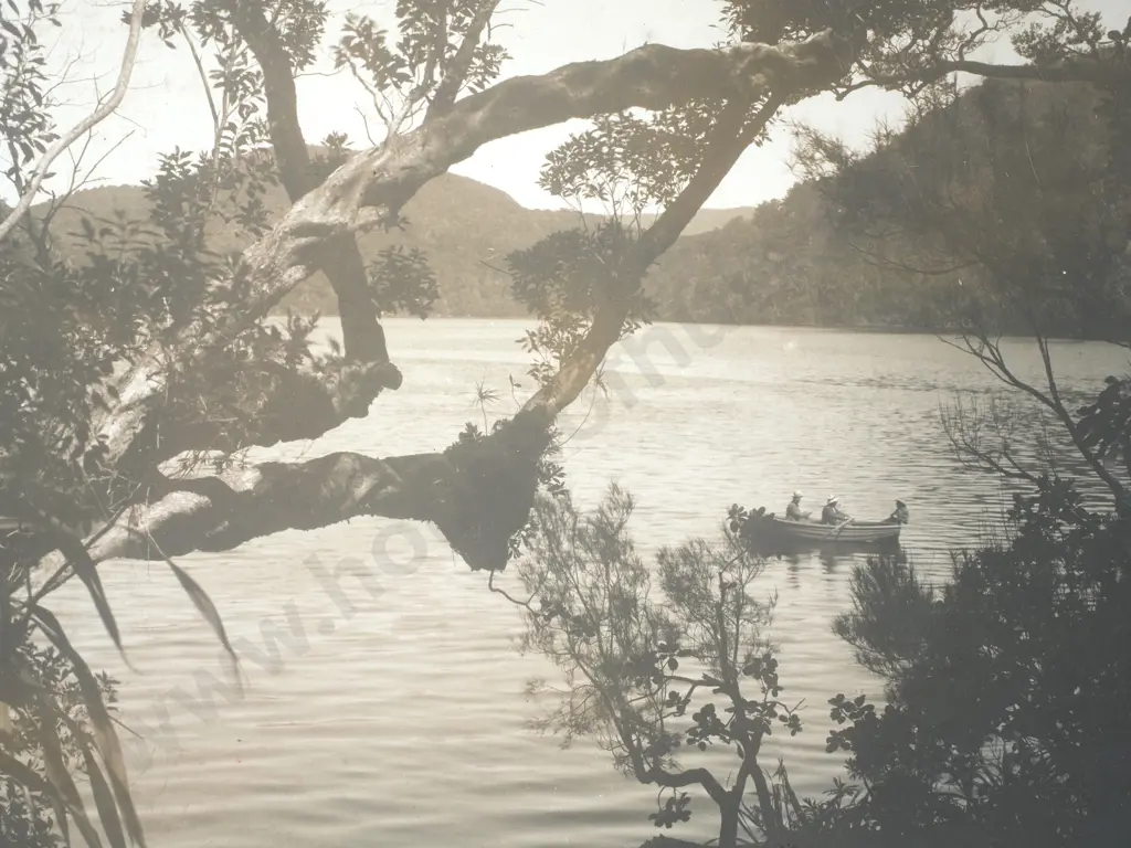 Photograph of Facile Harbour, Dusky Sound - c.1900 Image 1++