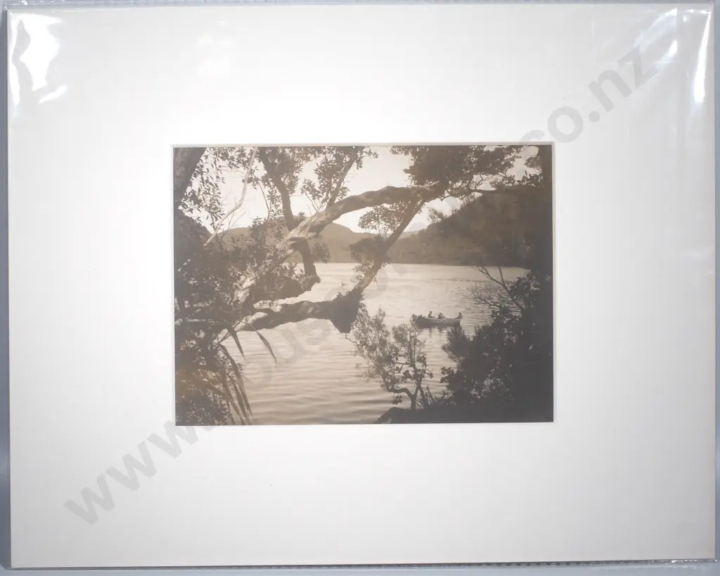 Photograph of Facile Harbour, Dusky Sound - c.1900 Image 1++