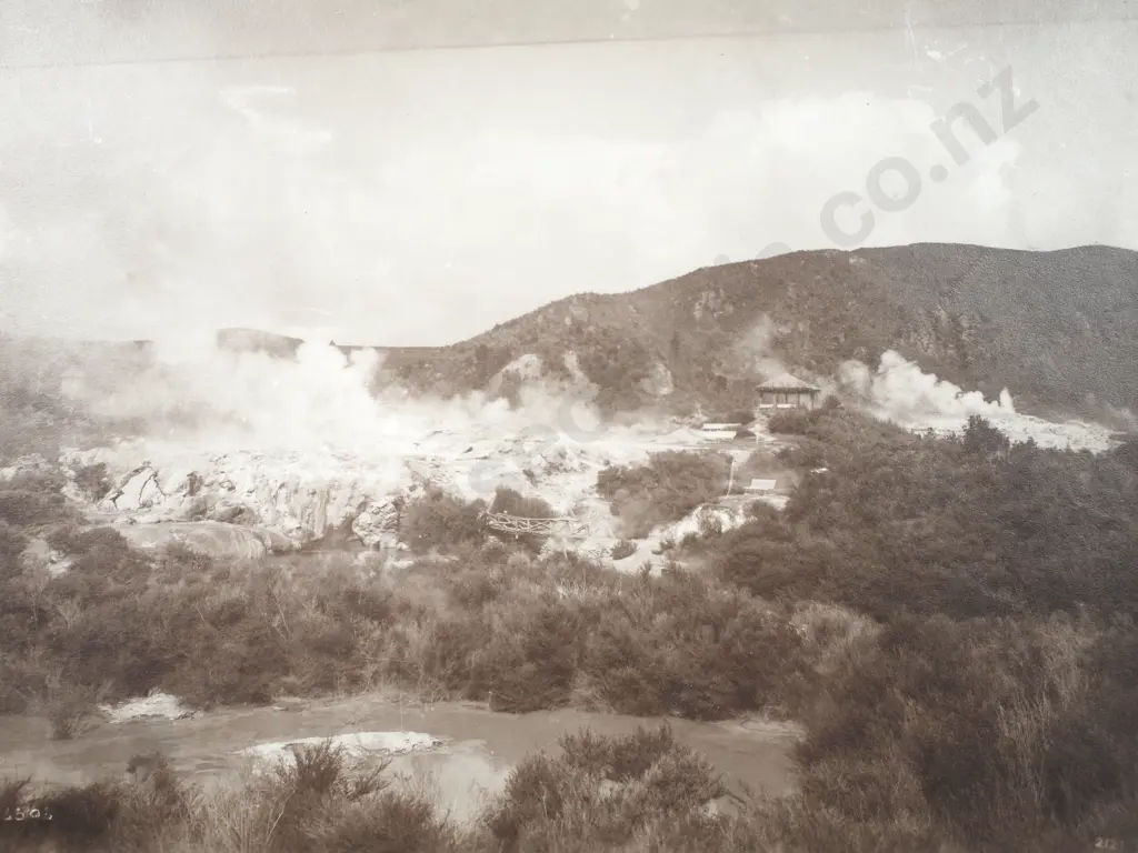The Thermal Park at Whakarewarewa, Rotorua - Photograph Image 1++