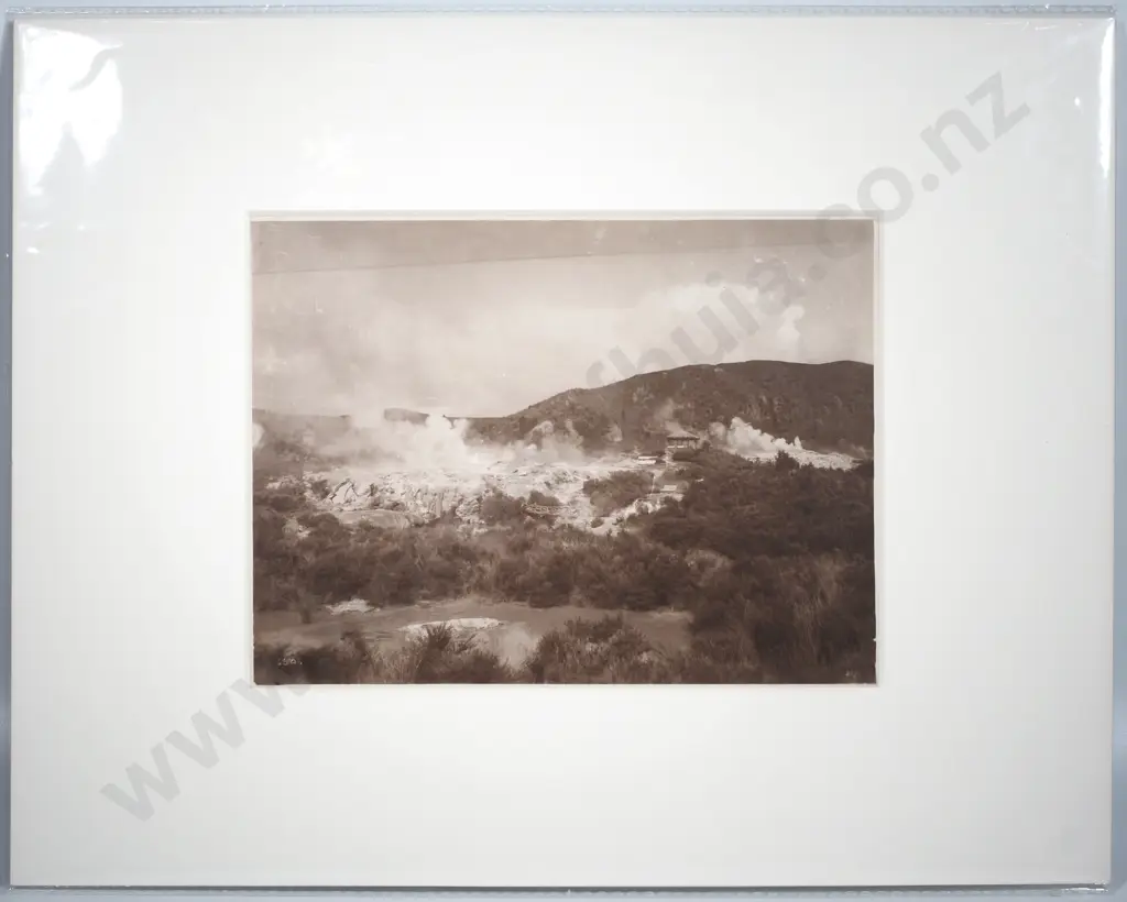 The Thermal Park at Whakarewarewa, Rotorua - Photograph Image 1++