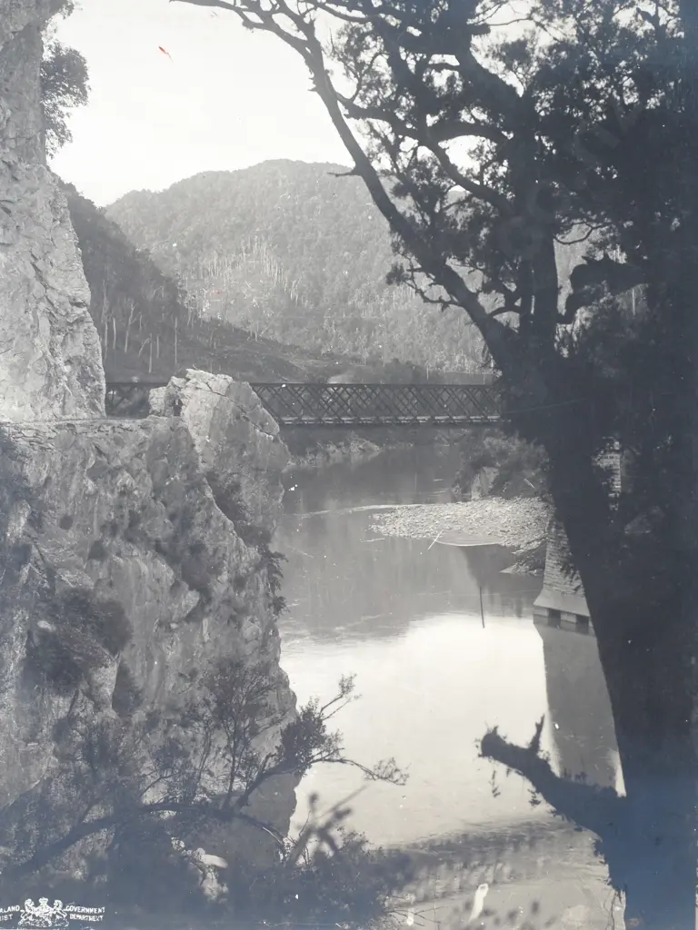 Lyell Bridge, Buller Gorge - Photograph Image 1++