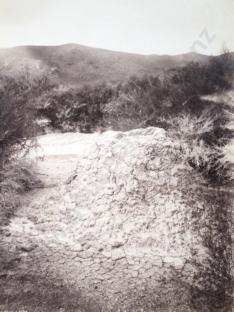 Josiah Martin - 'Beehive Cone', Whakarewarewa, Rotorua Image 1++