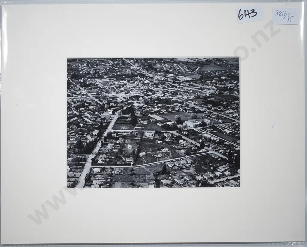 Victor Carlyle Browne - 'Blenheim' - Gelatin Silver Photograph Image 1++