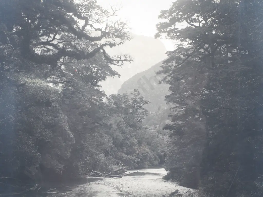 Clinton River, Milford Track - Photograph, c.1900 Image 1++