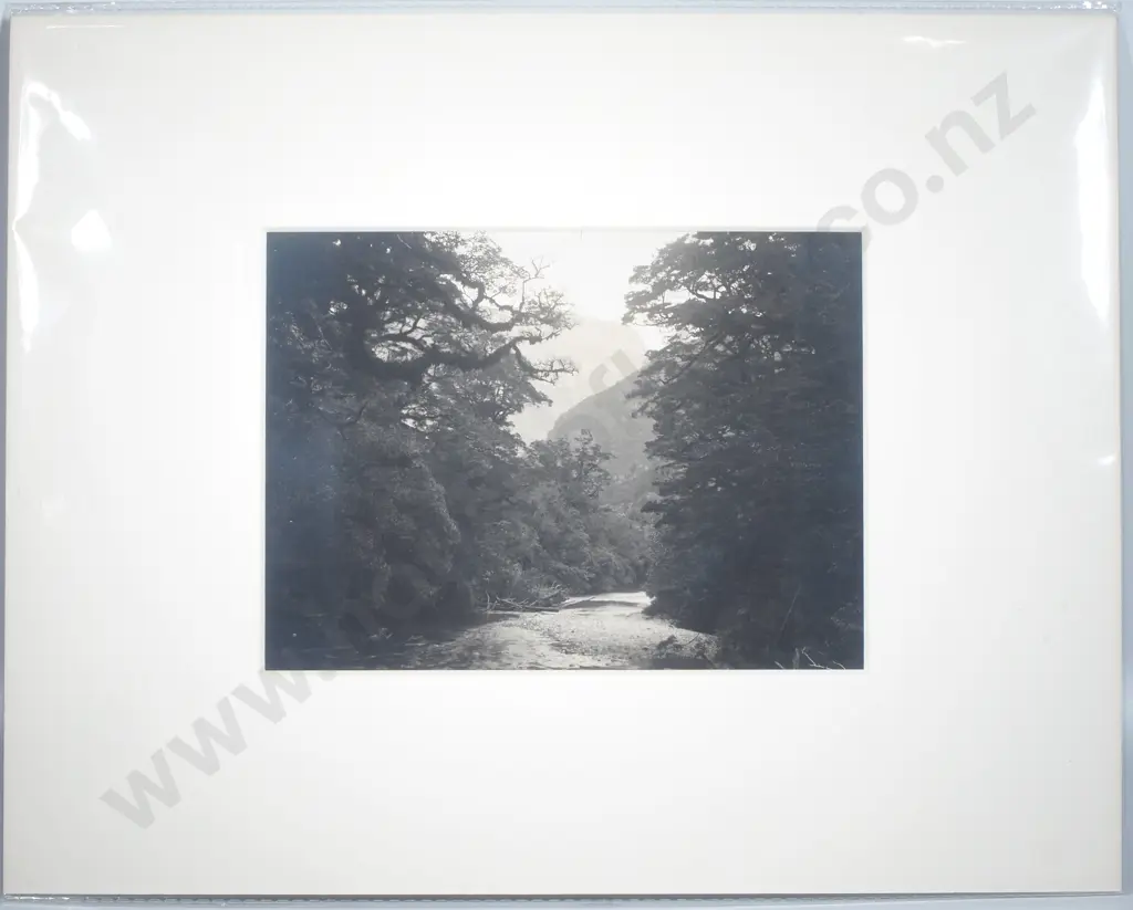 Clinton River, Milford Track - Photograph, c.1900 Image 1++