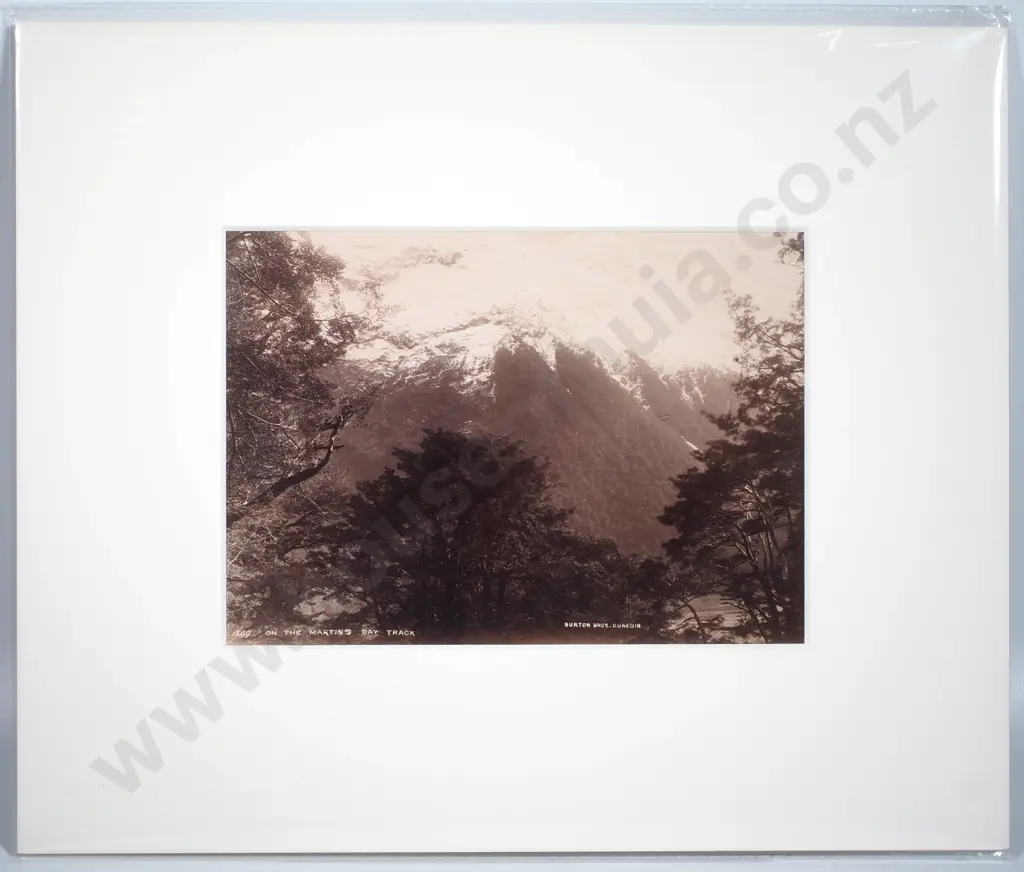 Burton Brothers, Dunedin (1870s - 1890s) - On the Martins Bay Track, c.1890 - Photograph Image 1++