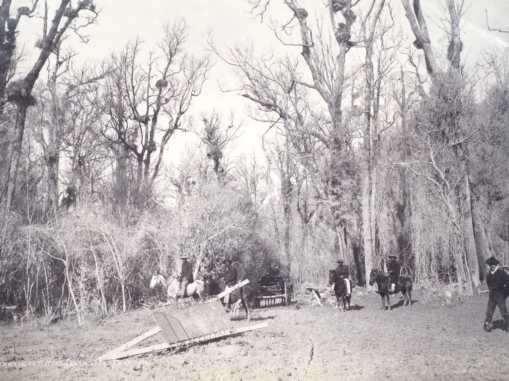 Photograph of the 'Entrance to Bush After Tarawera Eruption', (1886) Image 1++