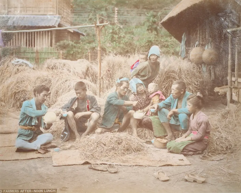 Unknown Photographer - Farmers Afternoon Lunch c.1880 - Albumen Photo c.1880 - Photograph Image 1++