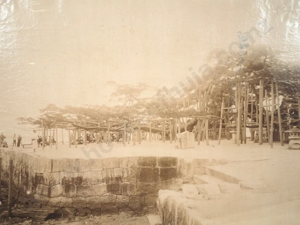 Japanese Albumen Photo of Park of Hikone, c.1880 Image 1++