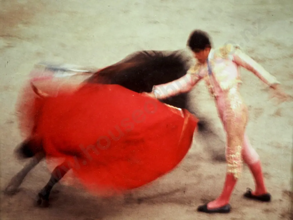 N. Matheson Beaumont - 'Corrida de Toros', Photograph Image 1++