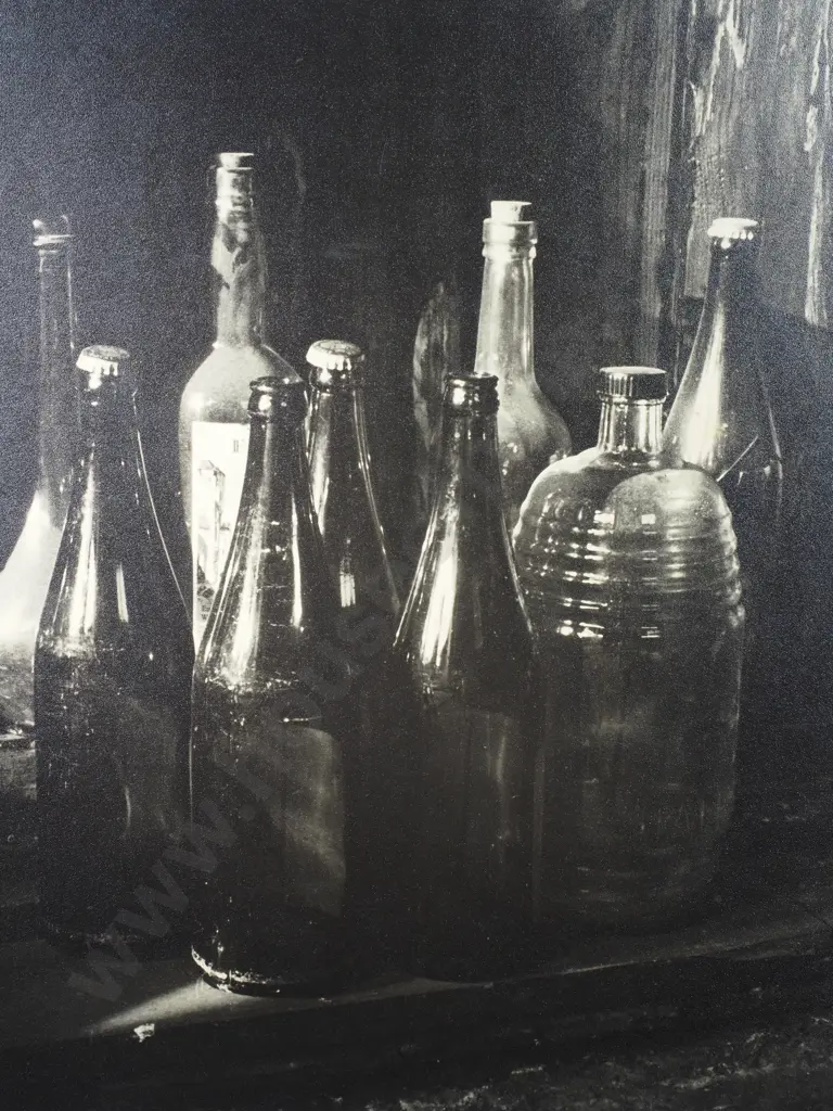 Frederick Lennard Casbolt - The Bottleneck, Photograph Image 1++