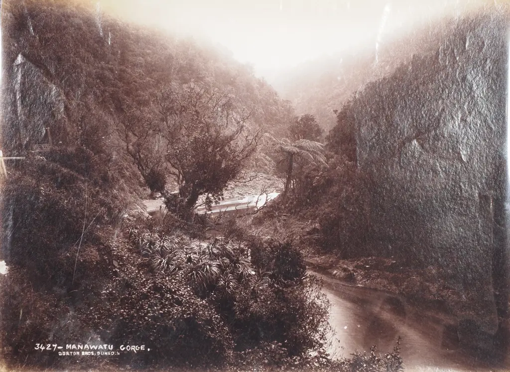 Burton Bros - 'Manawatu Gorge', Photograph, c. 1880 Image 1++