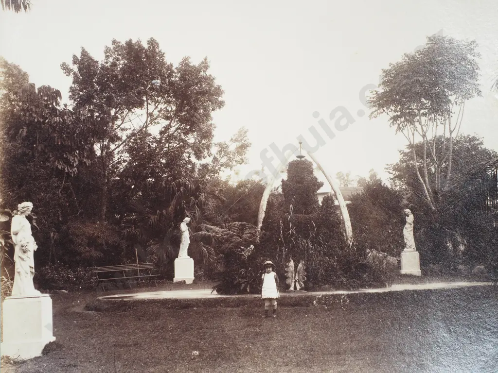 Photograph of Acclimatisation Society Gardens, Brisbane - Late 19th Century Image 1++