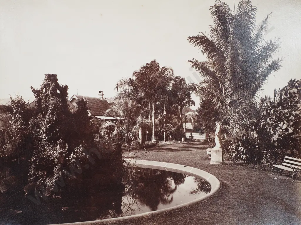 Photograph in the Botanical Gardens, Brisbane - Late 19th Century Image 1++