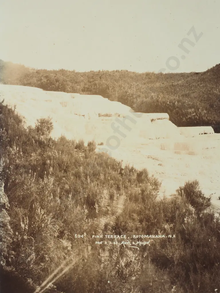 Muir & Moodie - Pink Terrace, Rotomahana March 1885 Image 1++