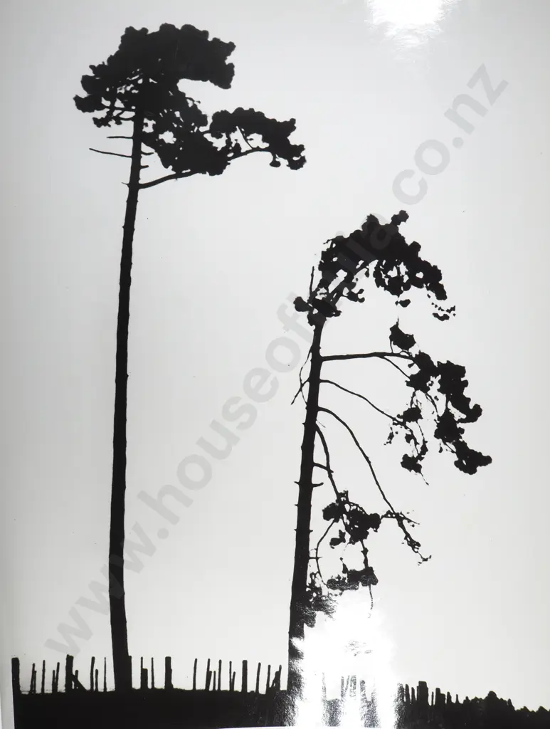 Frederick Lennard Casbolt - Photograph of Two Trees Silhouetted Against Fence Posts Image 1++
