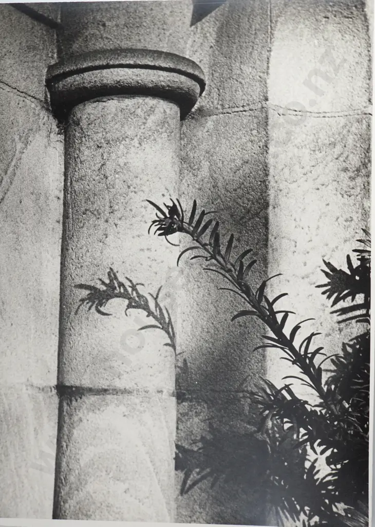 Frederick Lennard Casbolt - Photograph of Bushes Outside the Columns of a Building Image 1++